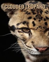 Clouded Leopard