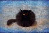 Poster Black Cat
