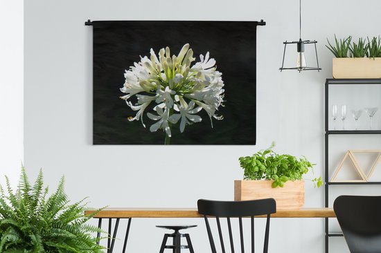 Tapisserie Plantes sur fond noir - Un agapanthe blanc en fleurs sur fond sombre Tapisserie en coton 150x112 cm - Tapisserie avec photo