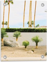 Tuinposter – Kleine Palmbomen - 30x40cm Foto op Tuinposter  (wanddecoratie voor buiten en binnen)