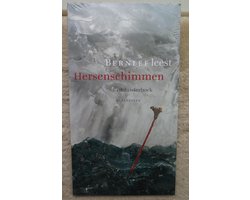 Omslag van Hersenschimmen - 6 Cd Luisterboek