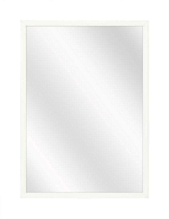Spiegel met Luxe Aluminium Lijst
