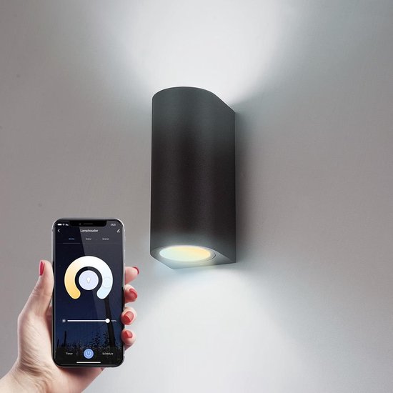 HOMEYLUX Douglas - Smart wandlamp voor buiten - Zwart - Besturing via app -  WiFi -... | bol.com