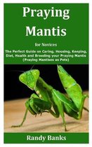 Praying Mantis for Novices