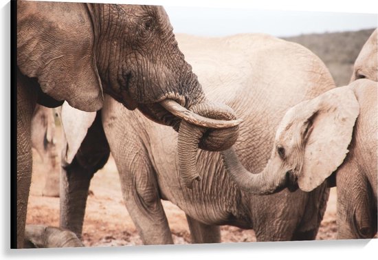 Close-up van een moeder olifant met haar slurf om de slurf van een jonge olifant, met een andere olifant op de achtergrond.