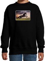 Dieren sweater met paarden foto - zwart - kinderen - natuur / paard cadeau trui - sweat shirt / kleding 9-11 jaar (134/146)