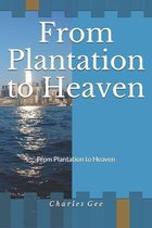 From Plantation to Heaven