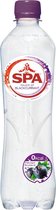 Spa Touch of Blackcurrant Tray 6 Petfles 50cl