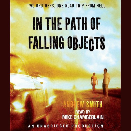 In the Path of Falling Objects - cover