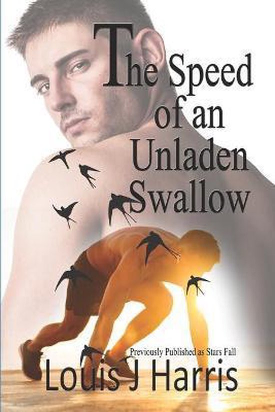 The Speed of an Unladen Swallow - cover