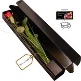 Eén rode roos - luxueuze verpakking - wenskaartje - bloemenvoedsel - enkele bladeren/grassen