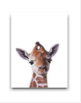 Schilderij Canvas Jungle Baby Giraffe - Kinderkamer - Dieren Doek - Babykamer / Kinder Doek - Babyshower Cadeau - Muurdecoratie - 50x40cm - FramedCity