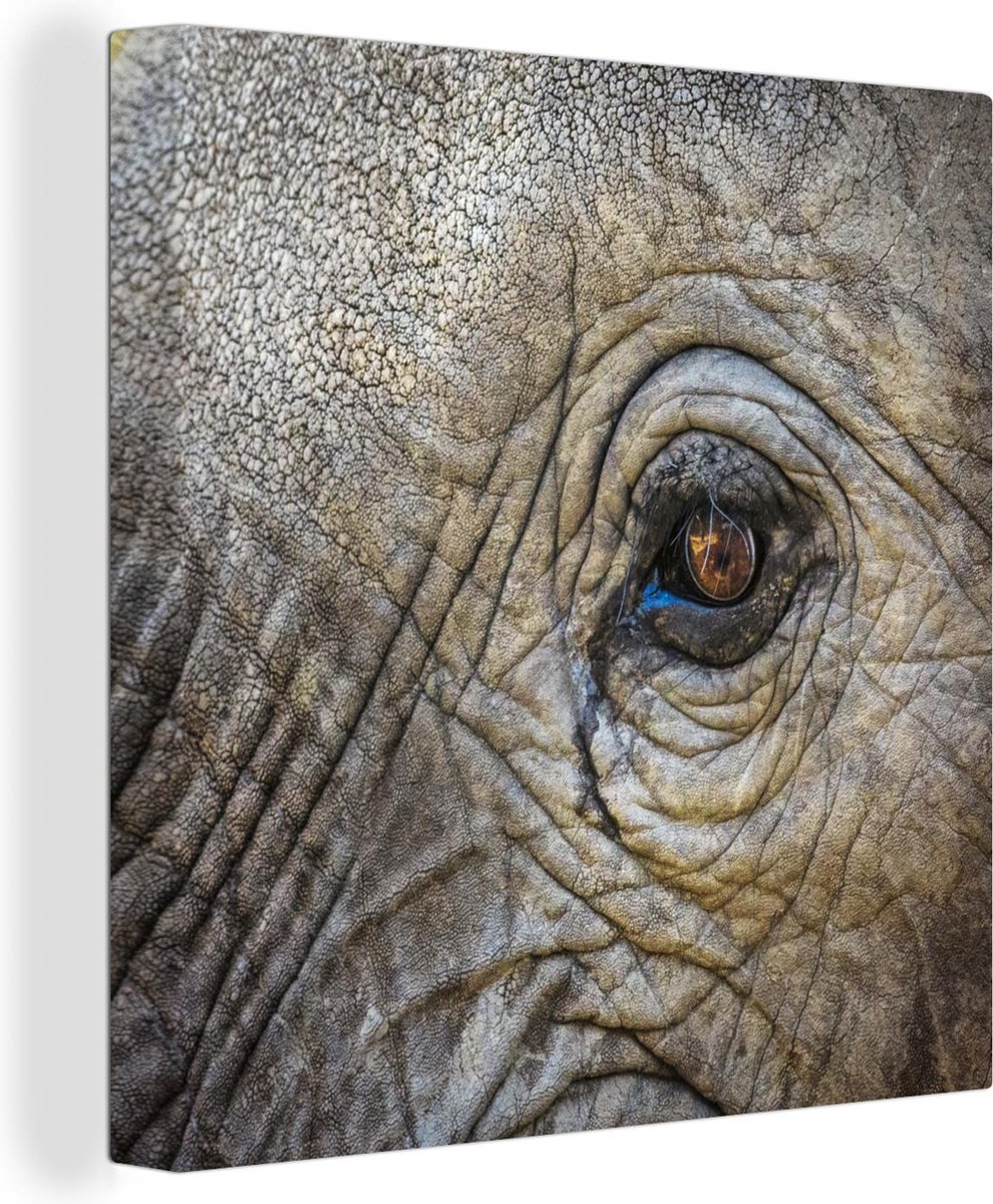 Canvas Schilderij Close-up van het bruine oog van een olifant - 40x30 cm - Wanddecoratie - OneMillionCanvasses