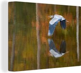 Canvas Schilderij Blauwe reiger vliegend boven water - 40x30 cm - Wanddecoratie