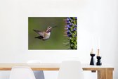 Canvas Schilderij Kolibrie - Plant - Vogel - 90x60 cm - Wanddecoratie
