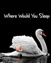 Where Would You Sleep