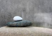 Tuinposter - Zen - Steen / stenen in wit / beige / bruin   -  60 x 90 cm.