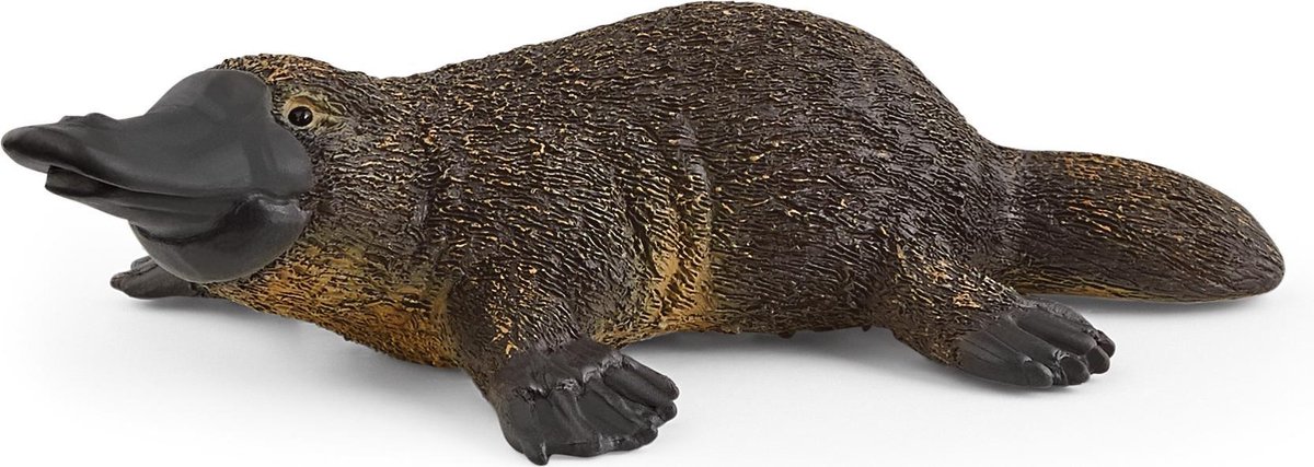 Schleich WILD LIFE