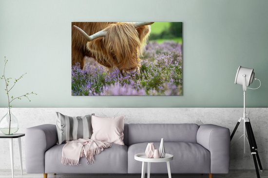 Close-up highlander écossais sent la toile de bruyère violette 2cm