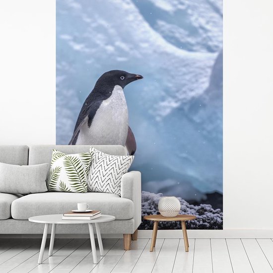 Herinnering vegetarisch Woordenlijst Behang - Fotobehang Adelie Pinguïn - Breedte 205 cm x hoogte 280 cm |  bol.com
