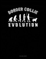 Border Collie Evolution