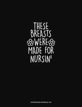 These Breasts Were Made for Nursin': Storyboard Notebook 1.85