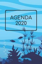 Agenda 2020