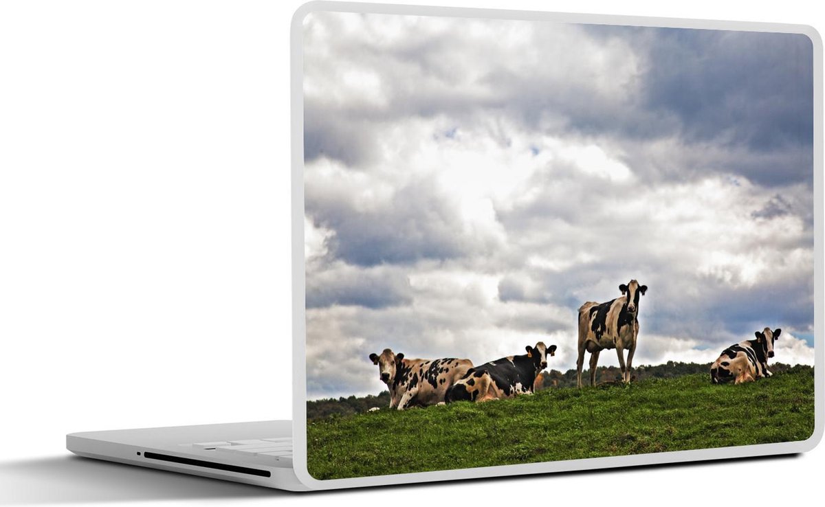 Laptop sticker - 17.3 inch - Koeien - Weide - Wolken - 40x30cm - Laptopstickers - Laptop skin - Cover