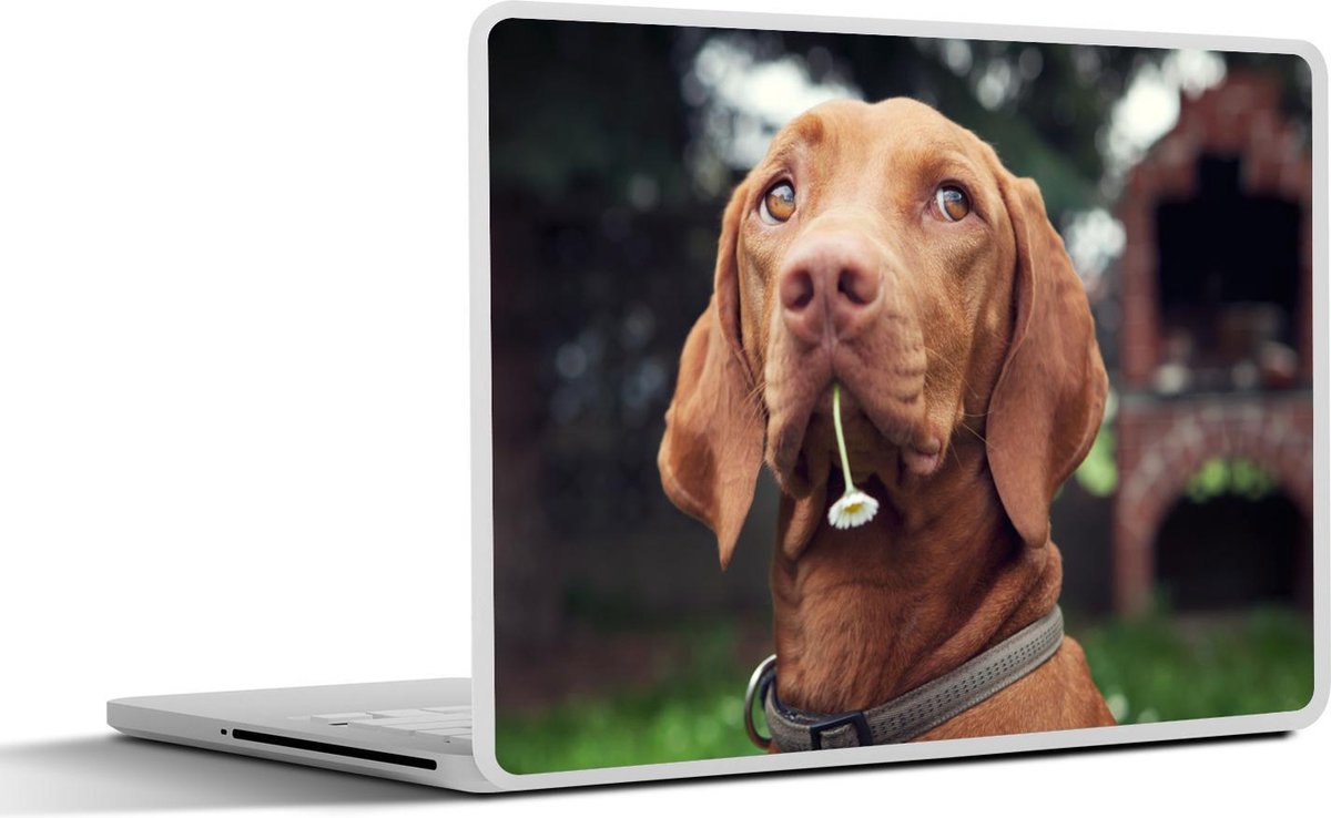 Afbeelding van product SleevesAndCases  Laptop sticker - 12.3 inch - Hond - Bloemen - Madelief