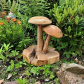 Stand Mushroom On root L3 - 30 cm hoog - paddenstoelen - gedroogd wortelhout - exotische teak - uniek - natuurlijk en handgemaakt - voor binnen en buiten - interieurdecoratie - tui