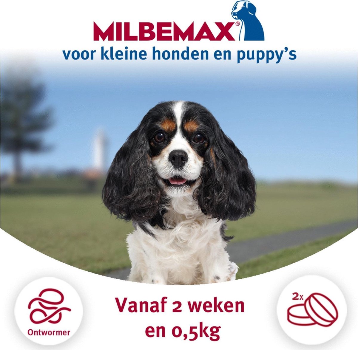 Milbemax Milbemax Pup & Hond - Anti wormenmiddel - 2 tab 0.5-10kg — afbeelding 4
