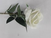 12 x Witte rozen