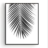 Poster Palmboom blad Midden Zwart / Wit - Tropisch Blad - Planten Poster - Muurdecoratie - 70x50cm - PosterCity