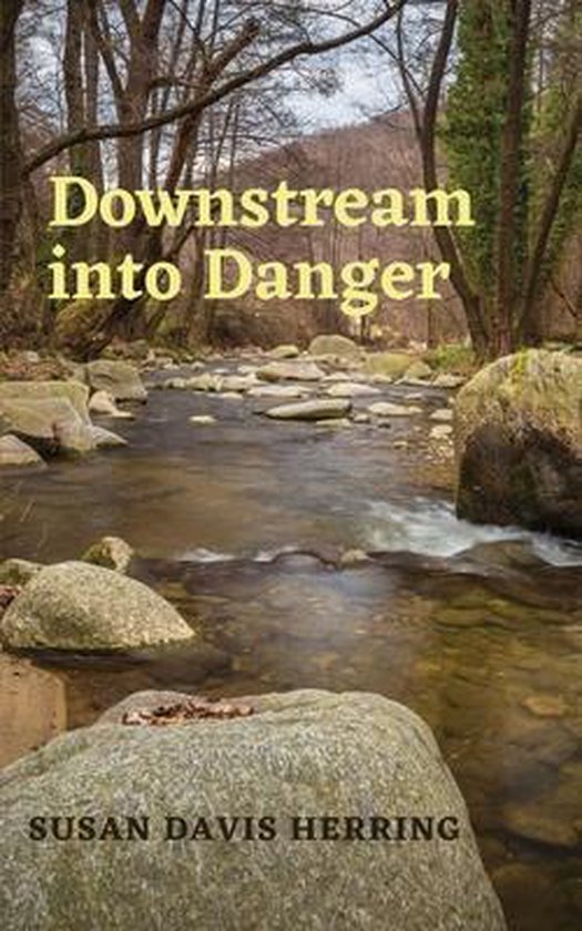 Foto: Downstream into danger