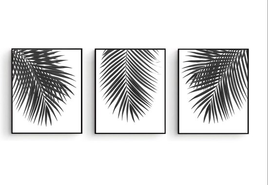Poster Set 3 Palmboom bladeren Zwart / Wit - Poster
