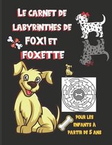 Carnet de labyrinthes de Foxi et Foxette