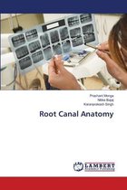 Root Canal Anatomy