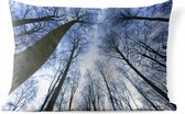 Buitenkussens - Tuin - Beukenbos in de winter blauwe lucht - 60x40 cm