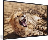 Photo en cadre - Bébé guépard dans le cadre photo Savannah noir sans passe partout 30x20 cm - Affiche sous cadre (Décoration murale salon / chambre)