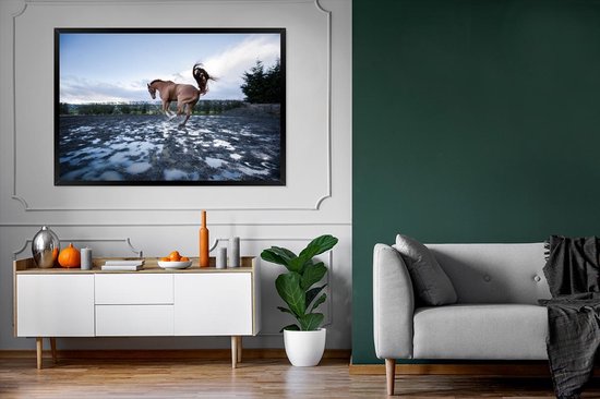 Photo encadrée - Bucking horse in the flaques cadre photo noir sans passe partout 120x80 cm - Affiche encadrée (Décoration murale salon / chambre)