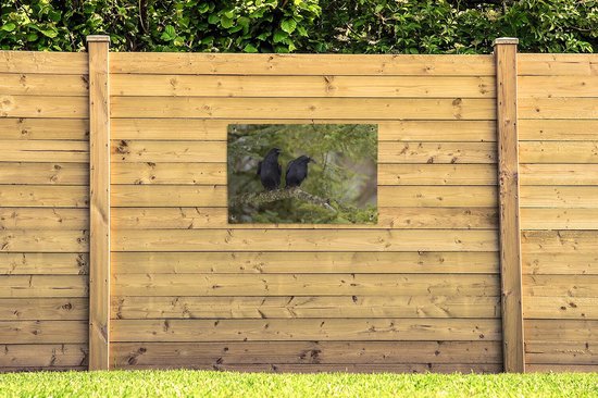 Deux corbeaux noirs sont assis ensemble sur une branche Affiche de jardin 90x60 cm - Toile de jardin / Toile d'extérieur / Peintures d'extérieur (décoration de jardin)