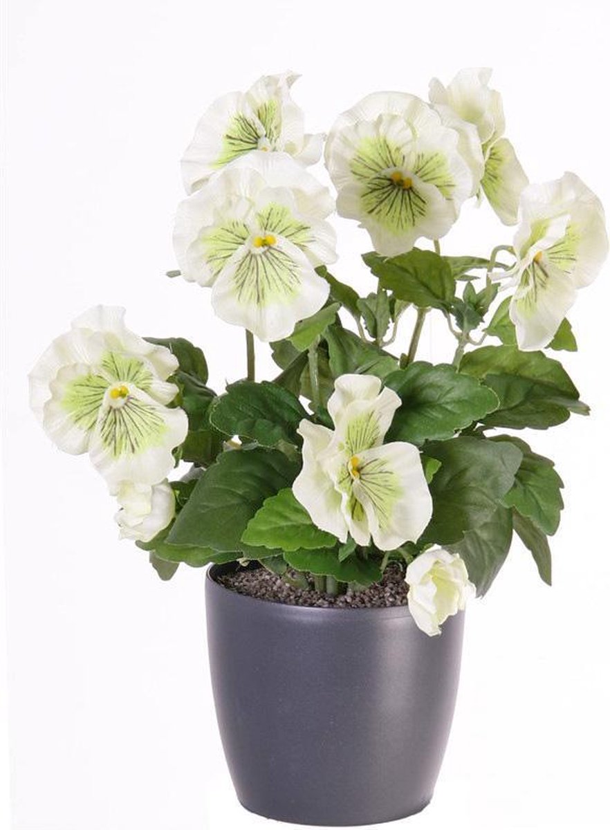 wonenencadeau.nl Viooltje, 9 bloemen (7x Ø 7cm en 2x Ø 2,5cm), 28cm wit