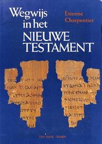 Wegwijs In Het Nieuwe Testament