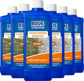 Blue Wonder Tegen Groene Aanslag-reiniger Voordeelverpakking – 6x 750 ml fles met Dop