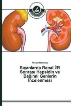 Sıçanlarda Renal İ/R Sonrası Hepsidin ve Bağımlı Genlerin İncelenmesi