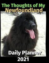 The Thoughts of My Newfoundland