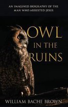 Owl in the Ruins