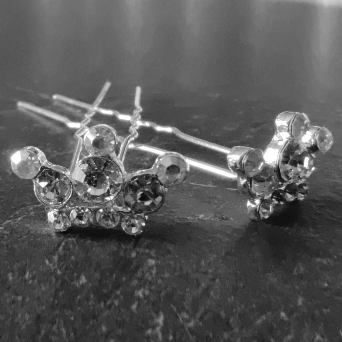PaCaZa - Zilverkleurige Hairpins - Kroontje met Diamantjes - 5 stuks