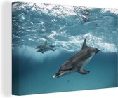 Toile Peinture Dauphin - Water - Mer - 60x40 cm - Décoration murale