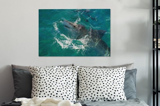 Un requin tigre sortant de l'eau 60x40 cm - Tirage photo sur toile (Décoration murale salon / chambre)